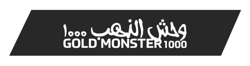 Amasya Minelab Gold Monster 1000 - Gold Monster 1000 küçük altın dedektörü
